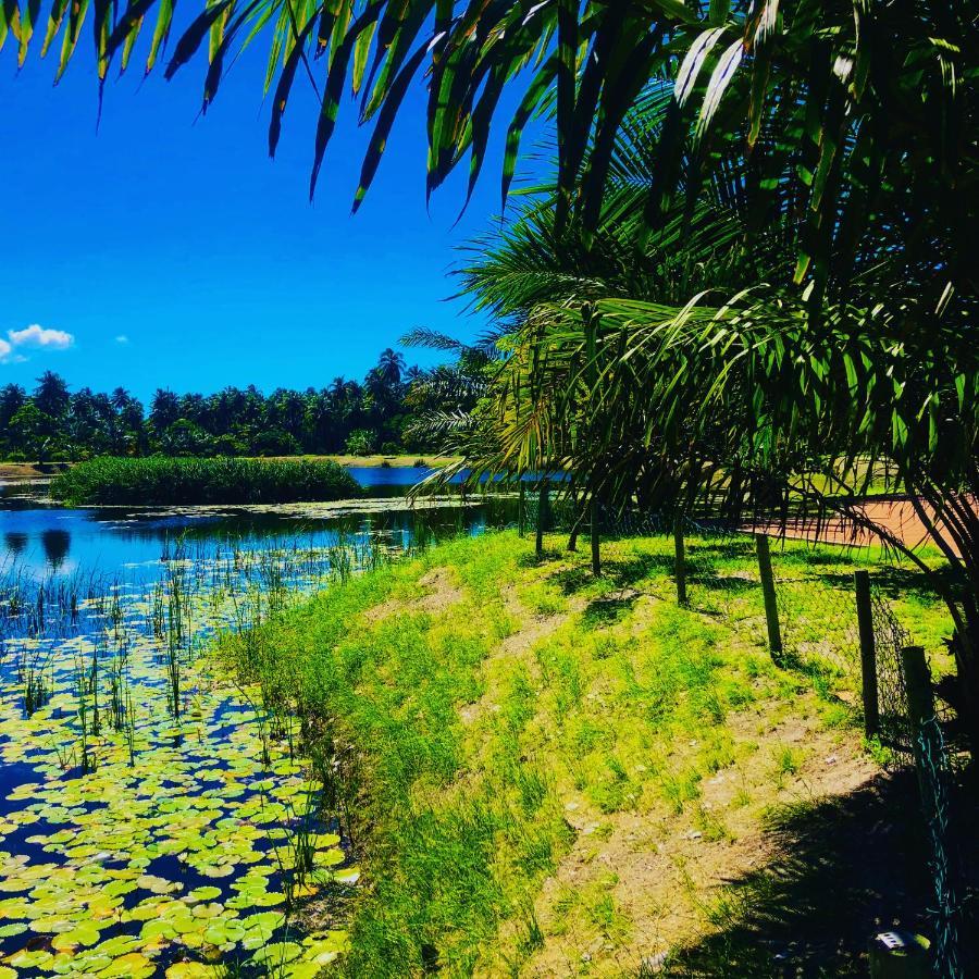 Reserva Do Paiva - A Melhor Casa Para Temporada Recife Dış mekan fotoğraf