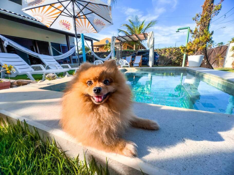 Reserva Do Paiva - A Melhor Casa Para Temporada Recife Dış mekan fotoğraf